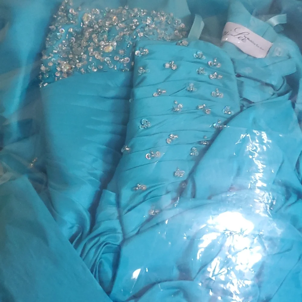Vizcaya quinceanera dress/prom dress - Picture 13 of 13